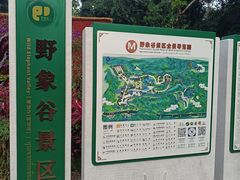-野象谷景区
