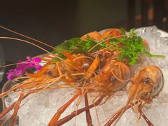 -醉东Oriental House(静安嘉里中心店)