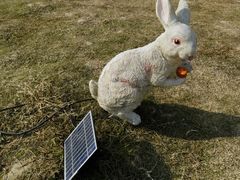 -西山漾湿地公园