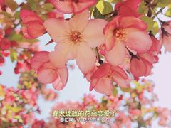 -水西公园
