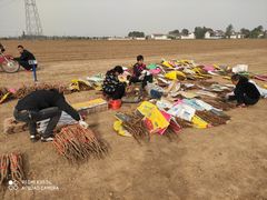 -解家河南菜(商鼎路店)