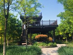 -天津东丽湖风景区