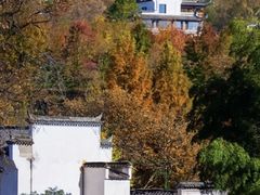 -塔川景区