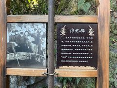 -十八棵（老龙井）御茶园(老龙井店)