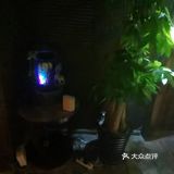 「隐逸SPA(三里屯·16年陈酿店)」一家十六年的老