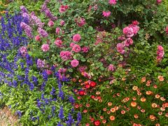 -人民公园(罗湖区)