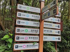 -同里国家湿地公园