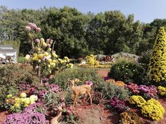 -上海共青森林公园