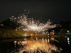 -大塘金香草谷