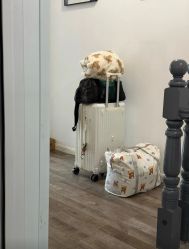 -南京市妇幼保健院(莫愁路院区)