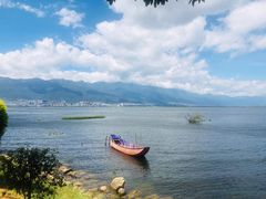 -野菌皇海景野生菌火锅(滨海大道店)