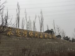 -永定河休闲森林公园