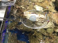 -盒马鲜生(昆城店)