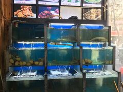 水产区-老东镇啤酒屋海鲜加工·蒸汽海鲜·海鲜烧烤(台东店)