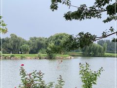 -万柳高尔夫俱乐部