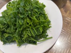 -岩保农家乐