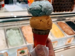 -极拉图·现制冰淇淋(大卫城店)