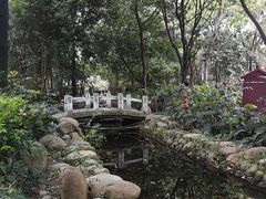 -成都市活水公园