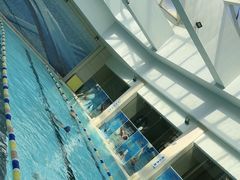 -游乐美游泳培训俱乐部(宝山顾村店)