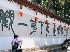 -严子陵钓台(富春江小三峡)