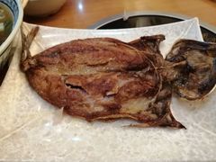 -春明狗肉馆(园丁花园店)