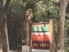 -星湖旅游景区七星岩