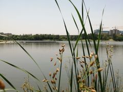 -美兰湖景区