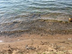 -丁香湖公园