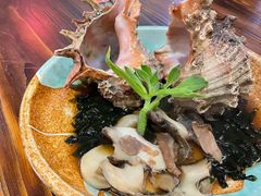 -KITON喜豚(清晖园店)