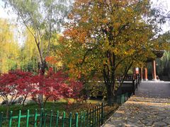 -西安市长乐公园