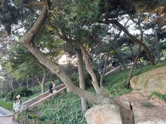 -青岛第二海水浴场