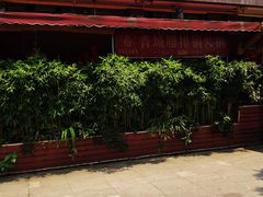 -岳记兴隆·青城腊排铜火锅(融创店)