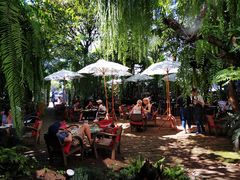 -Fern Forest Cafe
