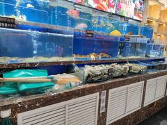 水产区-河马鲜生海鲜超市(风荷园店)