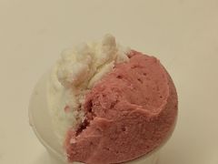 荔枝杨梅-Dal Cuore 达可芮冰淇淋(陕西北路店)