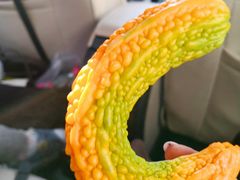 -马陆小张葡萄园农家乐