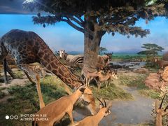 -国家自然博物馆