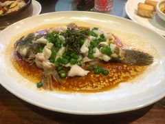 -猪肉婆私房菜(容桂总店)