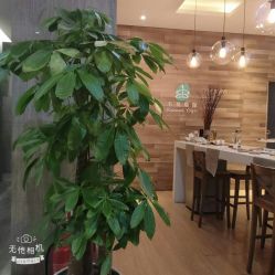 -卡莫瑜伽·普拉提