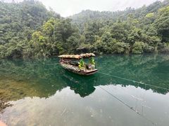 -鼎湖山风景区