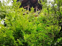 -杭州半山国家森林公园