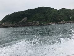 -盐洲岛