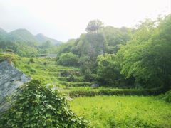 -石台牯牛降景区