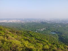 -紫金山山顶公园