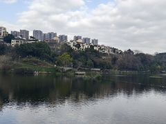 -重庆彩云湖湿地公园