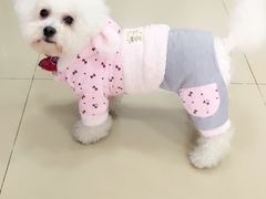 -荣耀金沙动物医院(清江西路店)