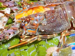 -白仁仔· 活烤海鲜 宵夜(豫园店)