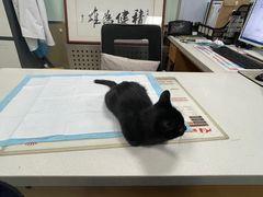 -天时宠物医院24小时疑难病例会诊中心(顾乡大街总院)