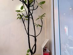 -小团圆糖水铺(襄阳南路店)