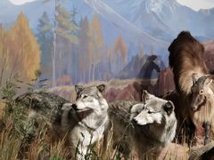 -陕西自然博物馆